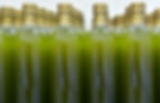 bottles-3803255_1920.jpg